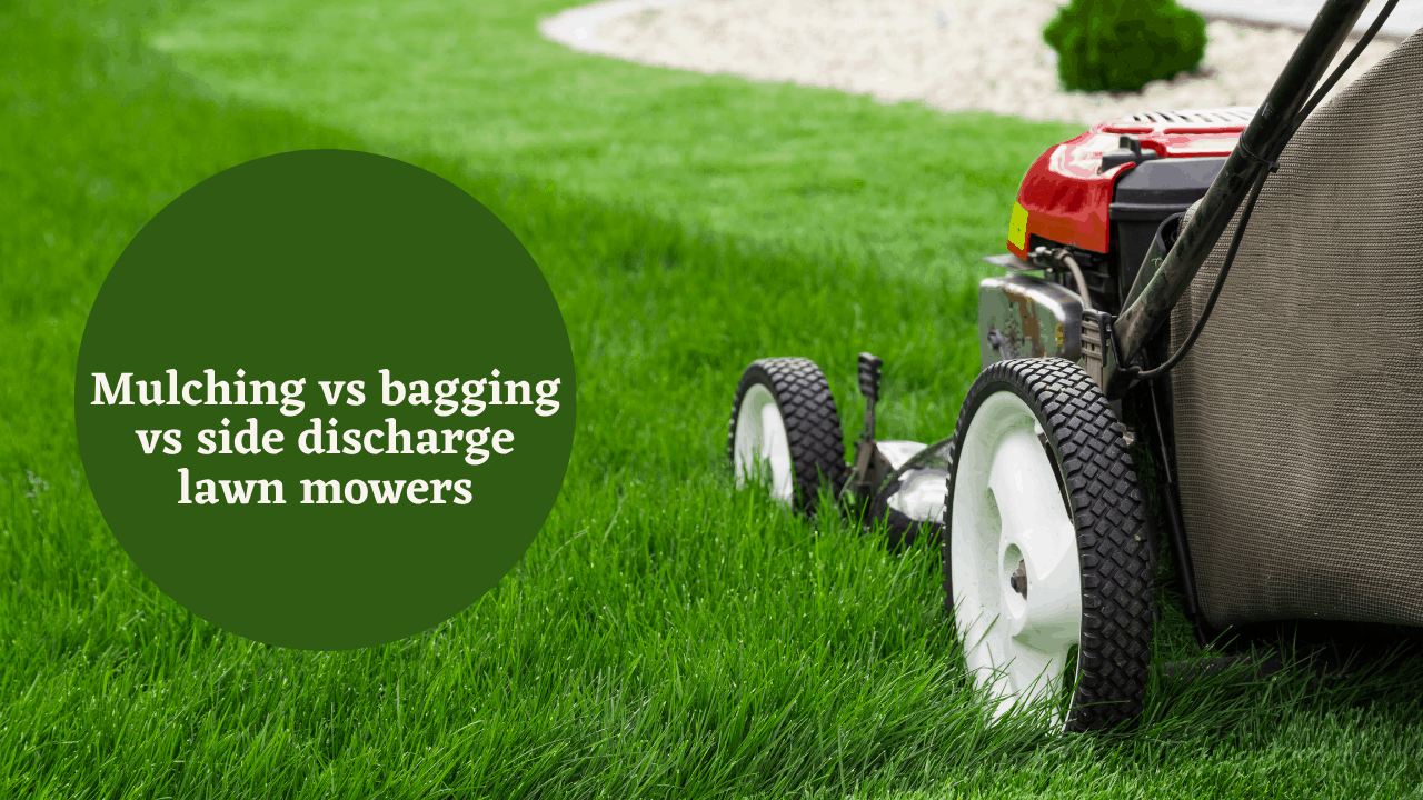 Mulching vs bagging vs side discharge lawn mowers